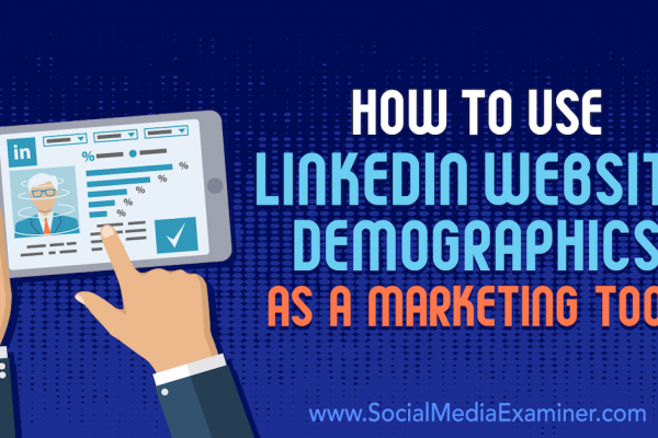 How to Use LinkedIn Website Demographics as a Marketing Tool